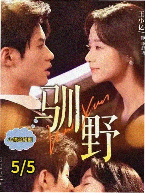 法网追凶